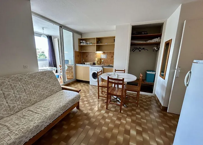 Daire Bien Situe En Face De La Marina St Cyprien Sc895-145